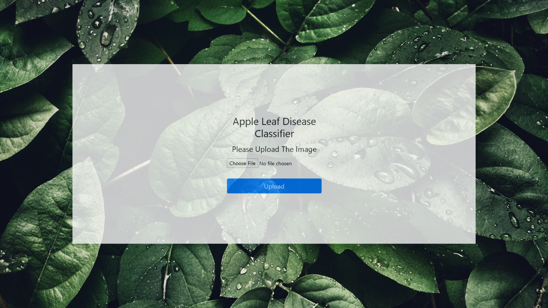 Apple Leaf Disease Prediction